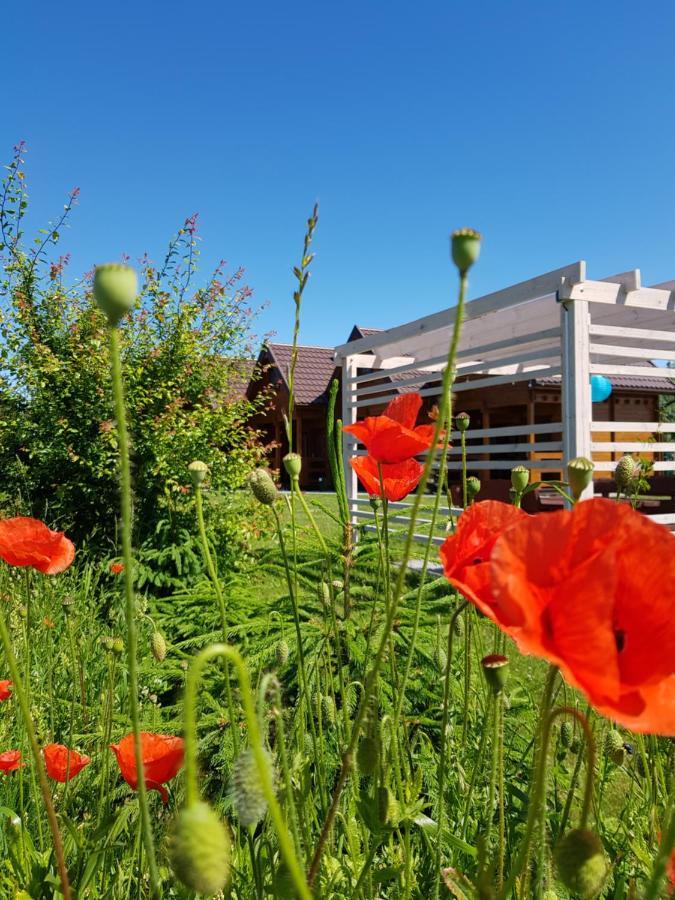 Domki Morskie Opowiesci Mikoszewo Esterno foto